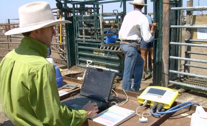 The CashCow project demonstrated the potential of electronic monitoring of herd performance